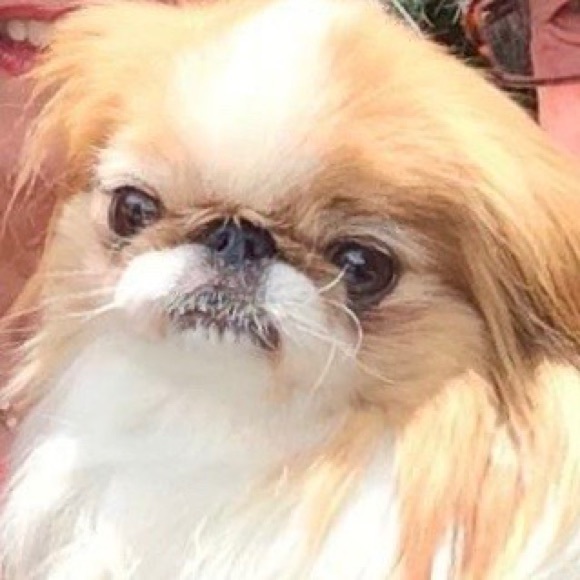 Meet your Posher, Tricia - Picture 9 of 10